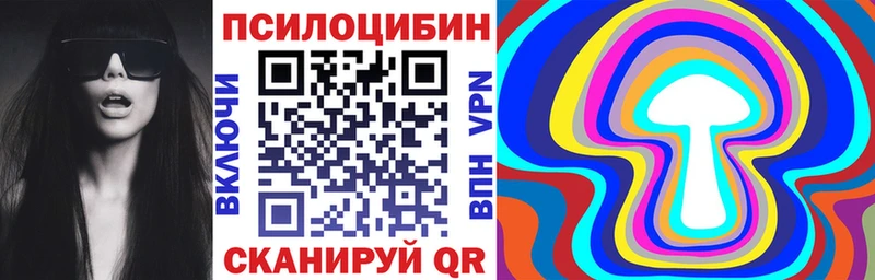 купить наркотики цена  Макушино  Галлюциногенные грибы Cubensis 